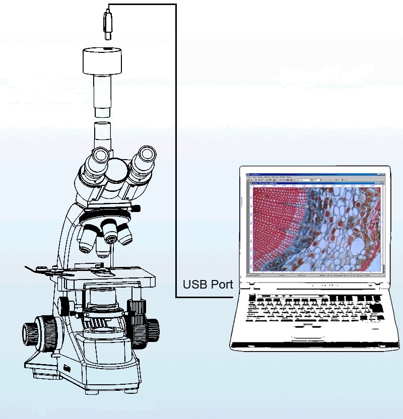 Видеоокуляр установлен на тринокулярный микроскоп
